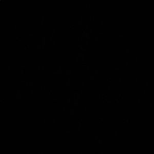 Meet your Posher, Kay